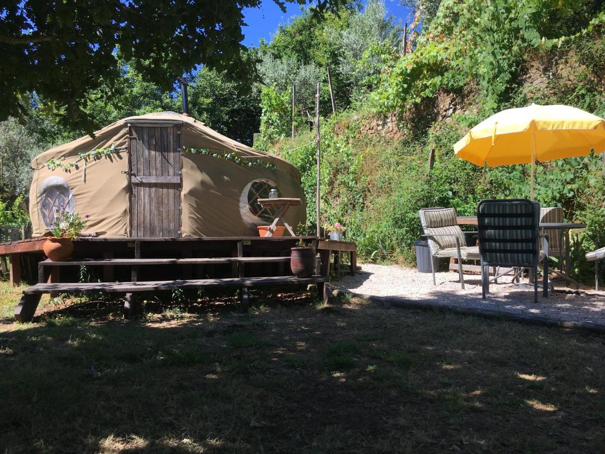 Star Gazing Luxury Yurt With River Views, Off Grid Eco Living Vale do Barco Extérieur photo