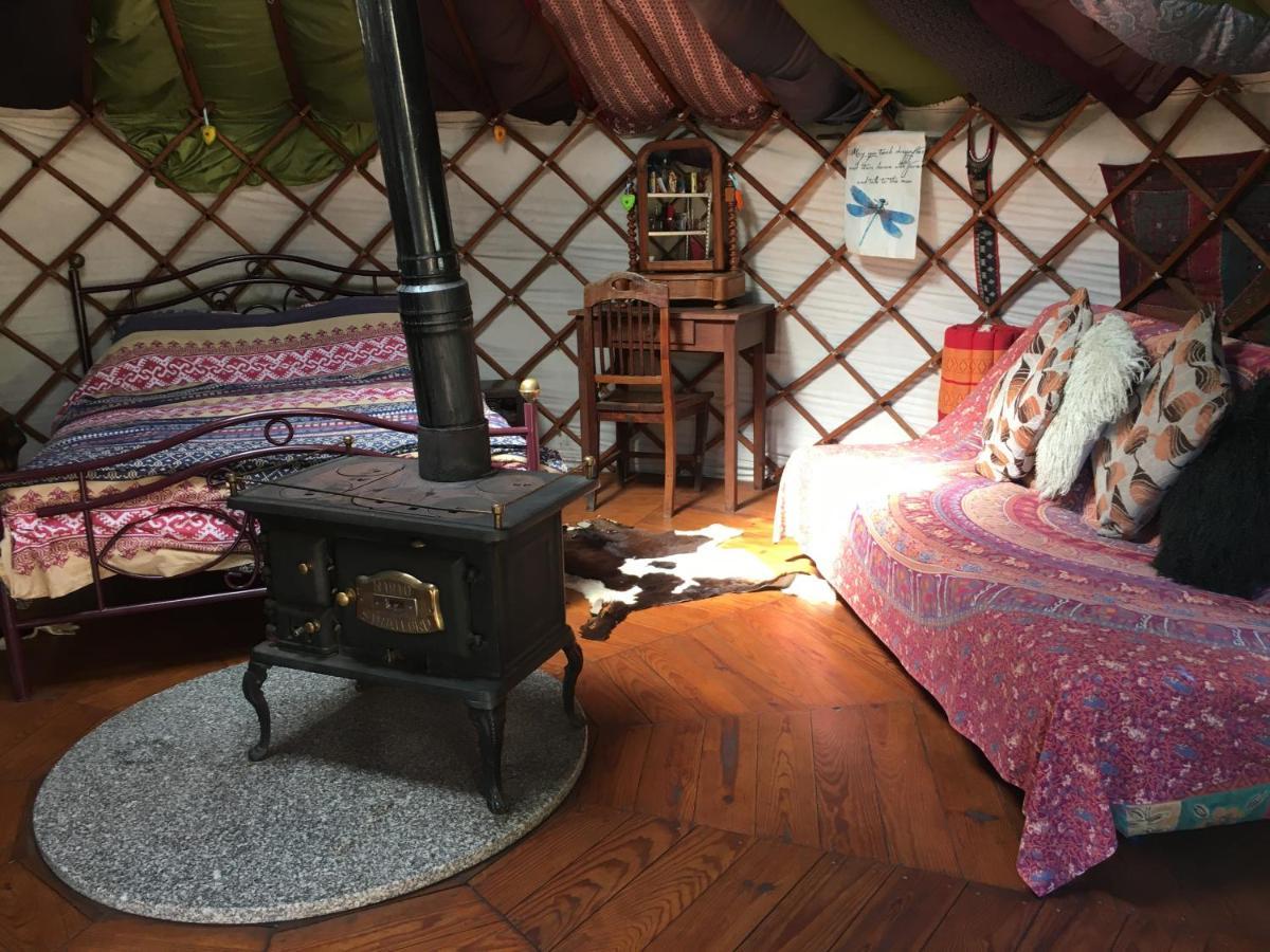 Star Gazing Luxury Yurt With River Views, Off Grid Eco Living Vale do Barco Extérieur photo