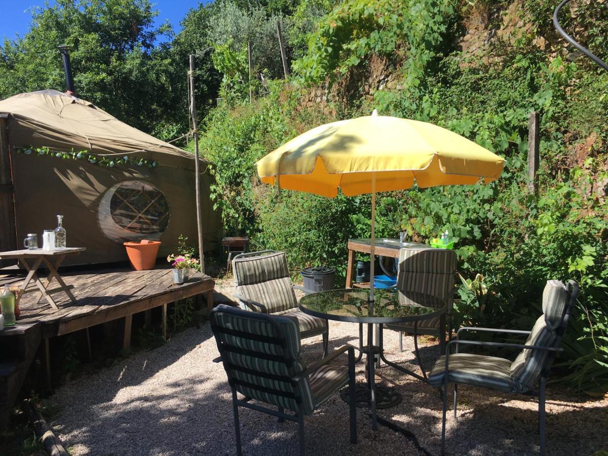 Star Gazing Luxury Yurt With River Views, Off Grid Eco Living Vale do Barco Extérieur photo