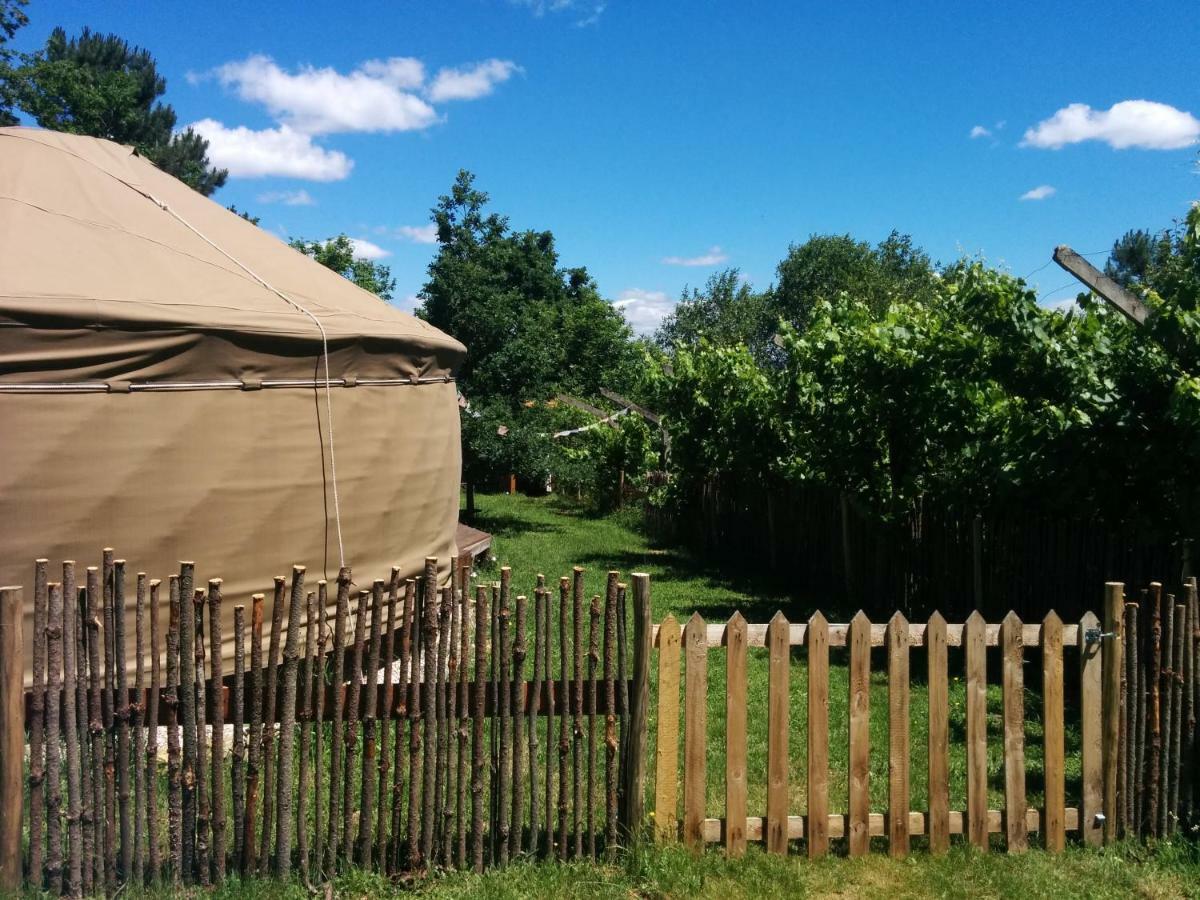 Star Gazing Luxury Yurt With River Views, Off Grid Eco Living Vale do Barco Extérieur photo